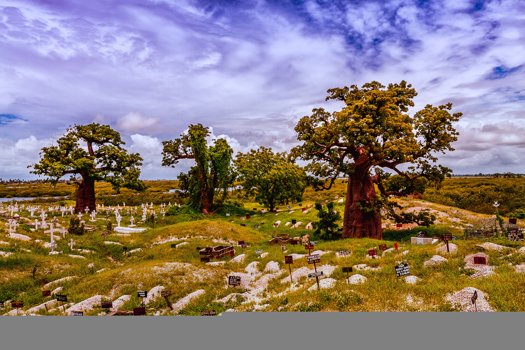 11178031453_2bc8f1cfe5_b